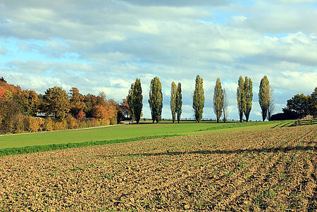 Landschaft